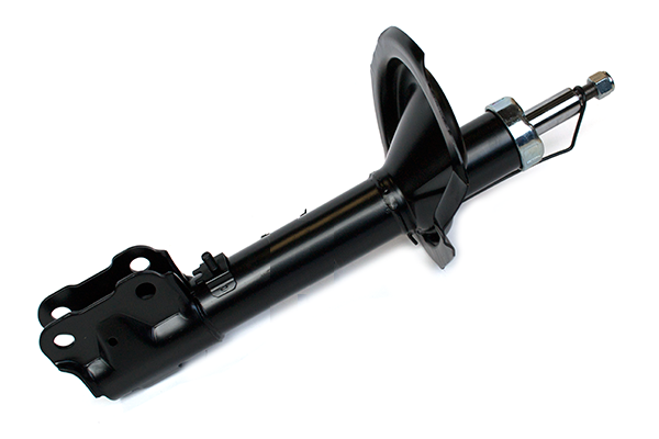 ASAM 75839 amortizor