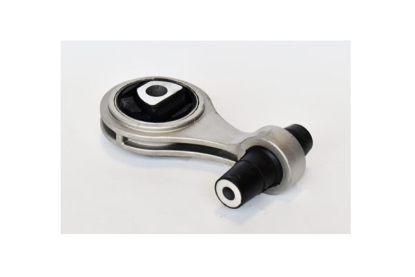 ASAM 76574 Suport,...