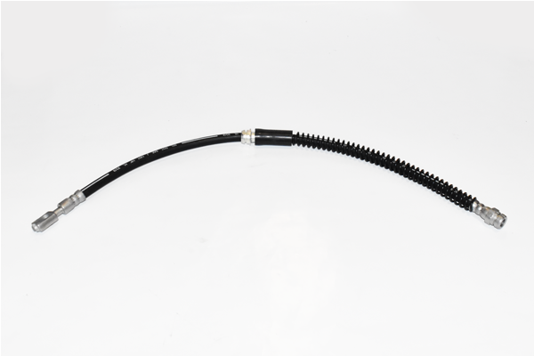 ASAM 77679 Furtun frana