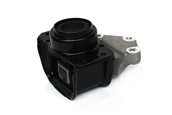 ASAM 79479 Suport motor