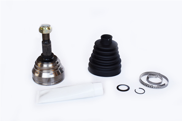 ASAM 79539 Set articulatie,...