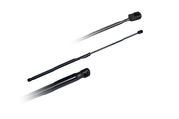 ASAM 79729 Amortizor portbagaj