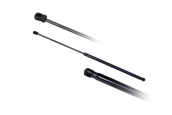 ASAM 79730 Amortizor capota