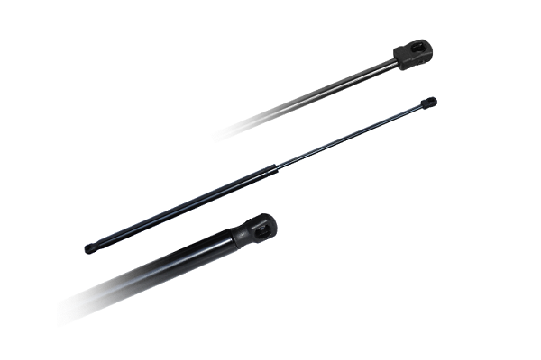 ASAM 79732 Amortizor portbagaj