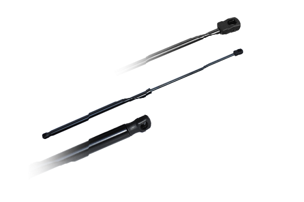 ASAM 79748 Amortizor portbagaj