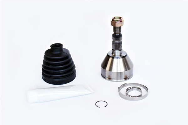 ASAM 79768 Set articulatie...