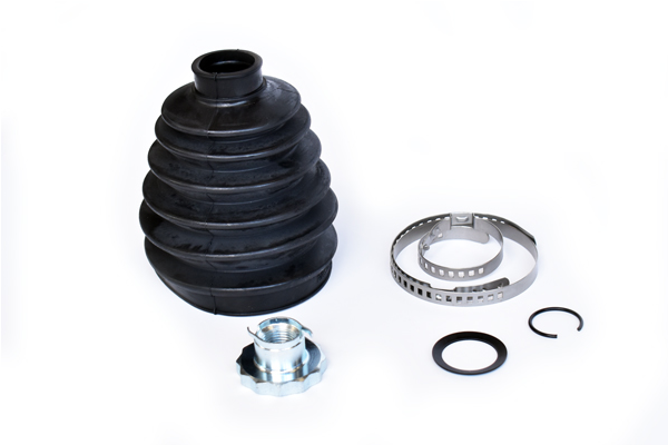 ASAM 79779 Ansamblu burduf...