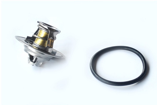 ASAM 80273 termostat,lichid...