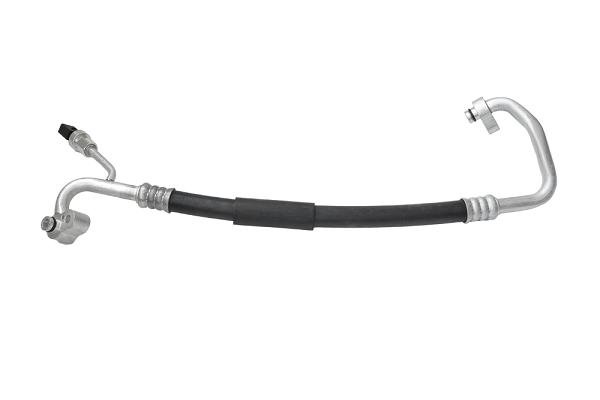 ASAM 82110 conducta...