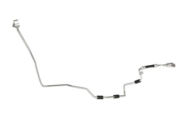 ASAM 82113 conducta...