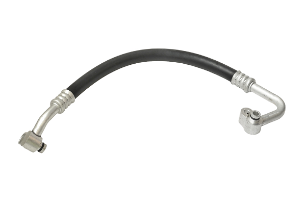 ASAM 82116 conducta inalta...