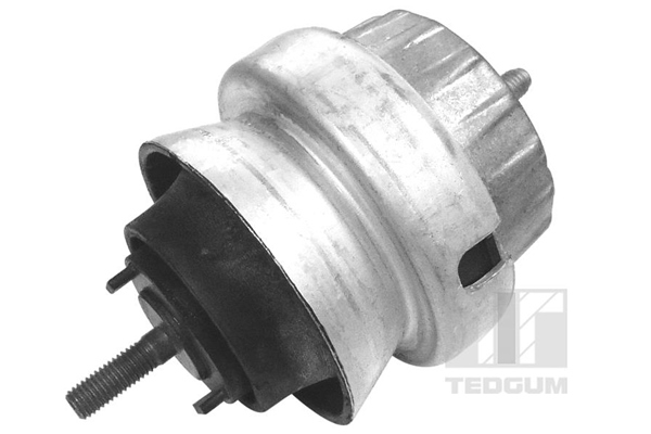 TEDGUM 00056452 Mounting, engine