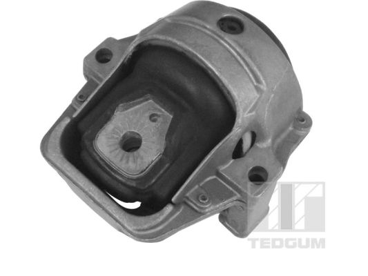 TEDGUM 00058583 Mounting, engine