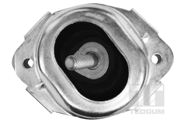 TEDGUM 00088531 Mounting,...