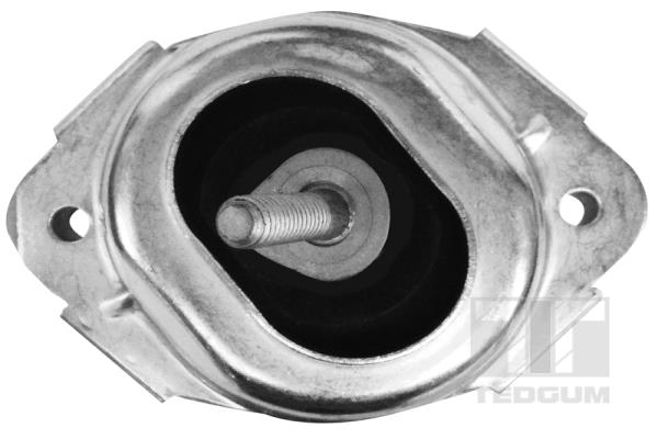 TEDGUM 00088550 Sospensione, Motore-Sospensione, Motore-Ricambi Euro