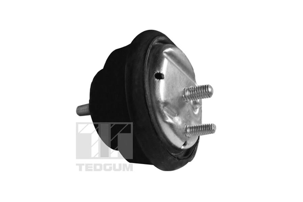 TEDGUM 00089778 Mounting,...