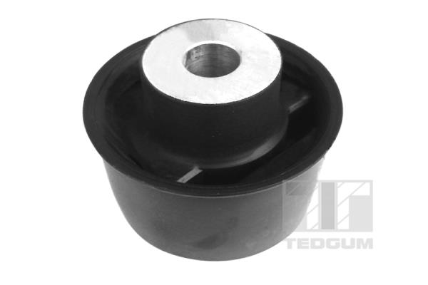 TEDGUM 00131739 Supporto, Braccio oscillante-Supporto, Braccio oscillante-Ricambi Euro