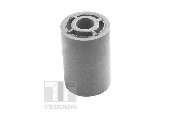 TEDGUM 00208810 Mounting, leaf spring