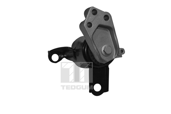 TEDGUM 00228507 Mounting, engine