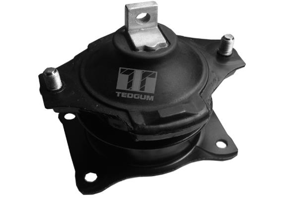 TEDGUM 00260933 Sospensione, Motore-Sospensione, Motore-Ricambi Euro