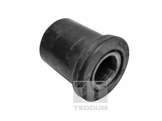 TEDGUM 00391569 Mounting, leaf spring