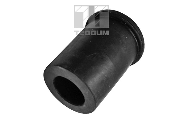 TEDGUM 00391594 Mounting, leaf spring