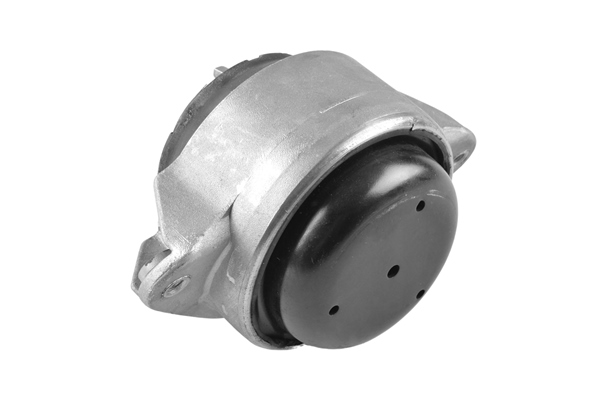 TEDGUM 00415897 Mounting, engine