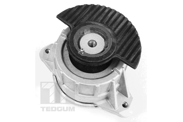 TEDGUM 00418476 Mounting, engine