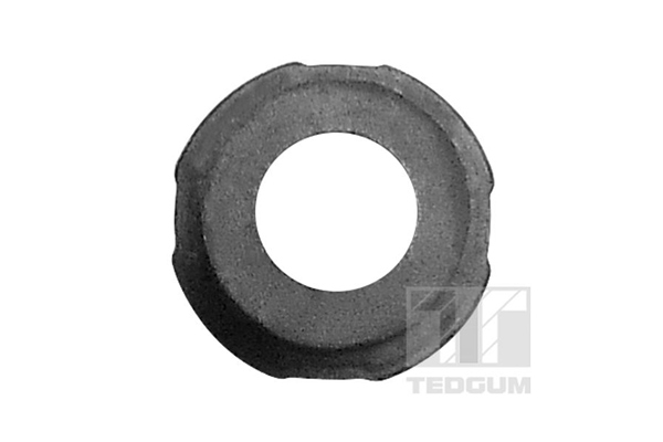 TEDGUM 00441687 Mounting,...