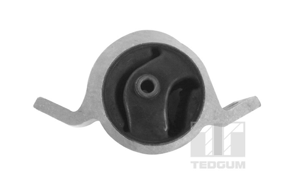 TEDGUM 00466219 Mounting, engine