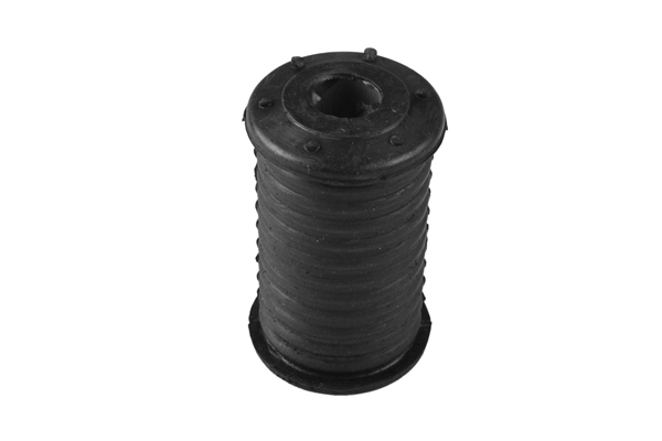 TEDGUM 00468560 Mounting, leaf spring