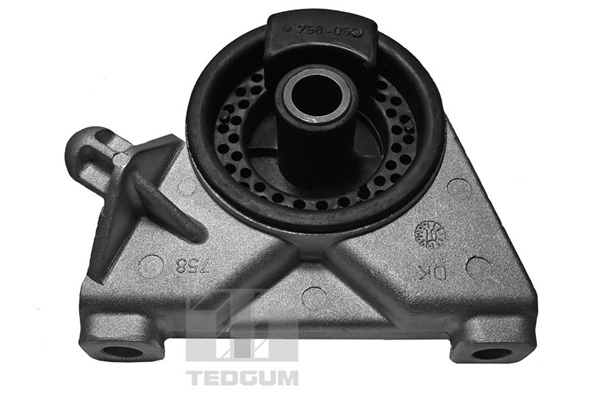 TEDGUM 00509064 Mounting, engine