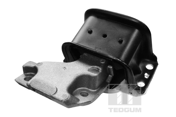 TEDGUM 00511756 Mounting, engine
