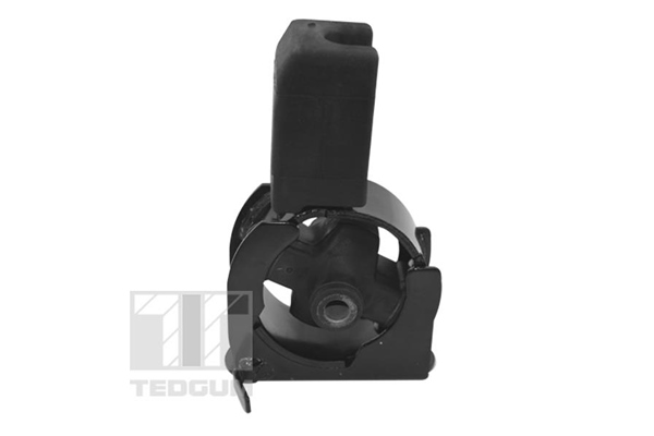 TEDGUM 00672166 Mounting, engine
