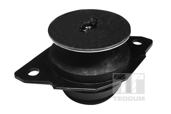 TEDGUM 00725600 Mounting, manual transmission support