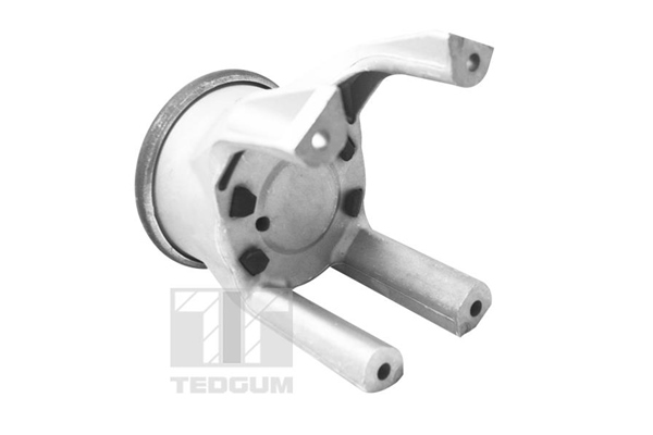 TEDGUM 00725748 Mounting, engine