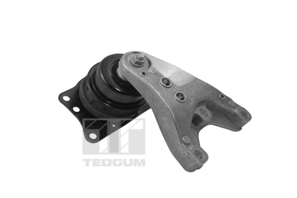 TEDGUM 00729405 Mounting, engine