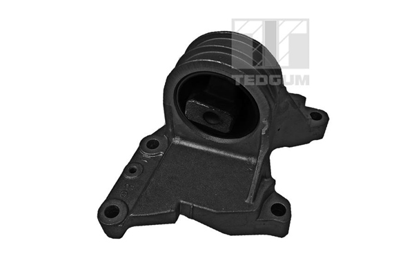 TEDGUM 00741001 Mounting, engine