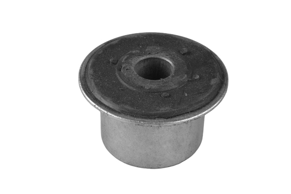 TEDGUM 01106783 Mounting, leaf spring