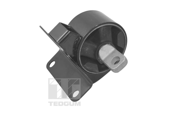 TEDGUM TED11042 Mounting, engine
