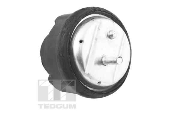 TEDGUM TED12723 Mounting,...