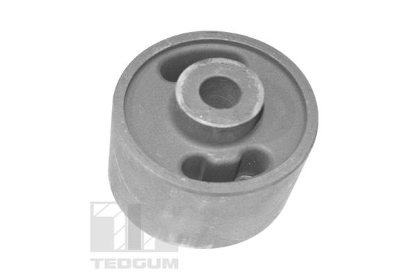 TEDGUM TED53751 Supporto, Braccio oscillante