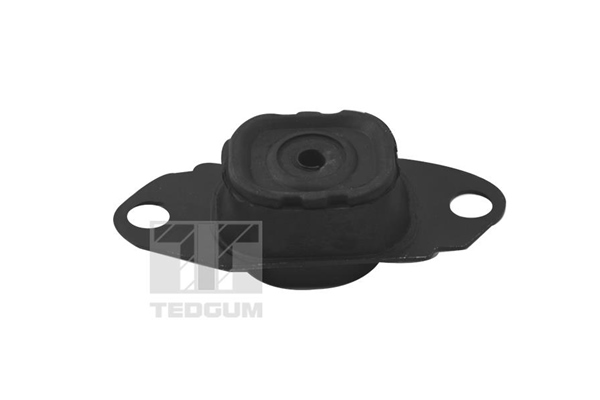 TEDGUM TED15980 Mounting, engine