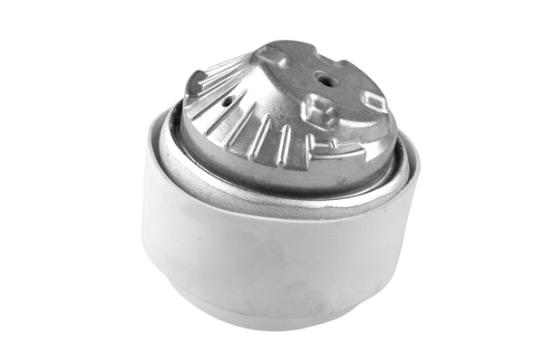 TEDGUM TED20587 Mounting, engine