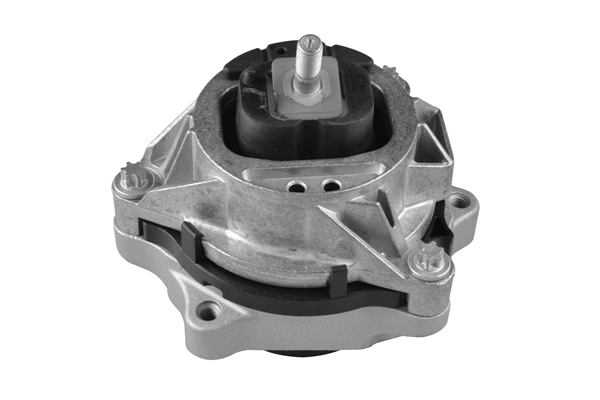 TEDGUM TED22572 Mounting, engine