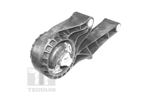 TEDGUM TED22755 Mounting, engine