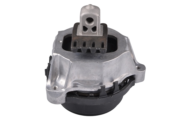 TEDGUM TED23794 Mounting, engine