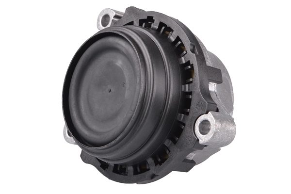 TEDGUM TED24020 Mounting, engine
