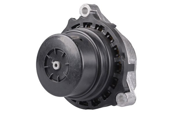 TEDGUM TED25318 Mounting, engine