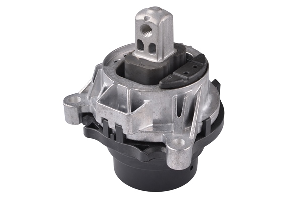 TEDGUM TED25318 Mounting, engine